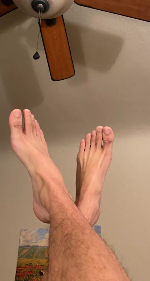 dogs are barking after a long day