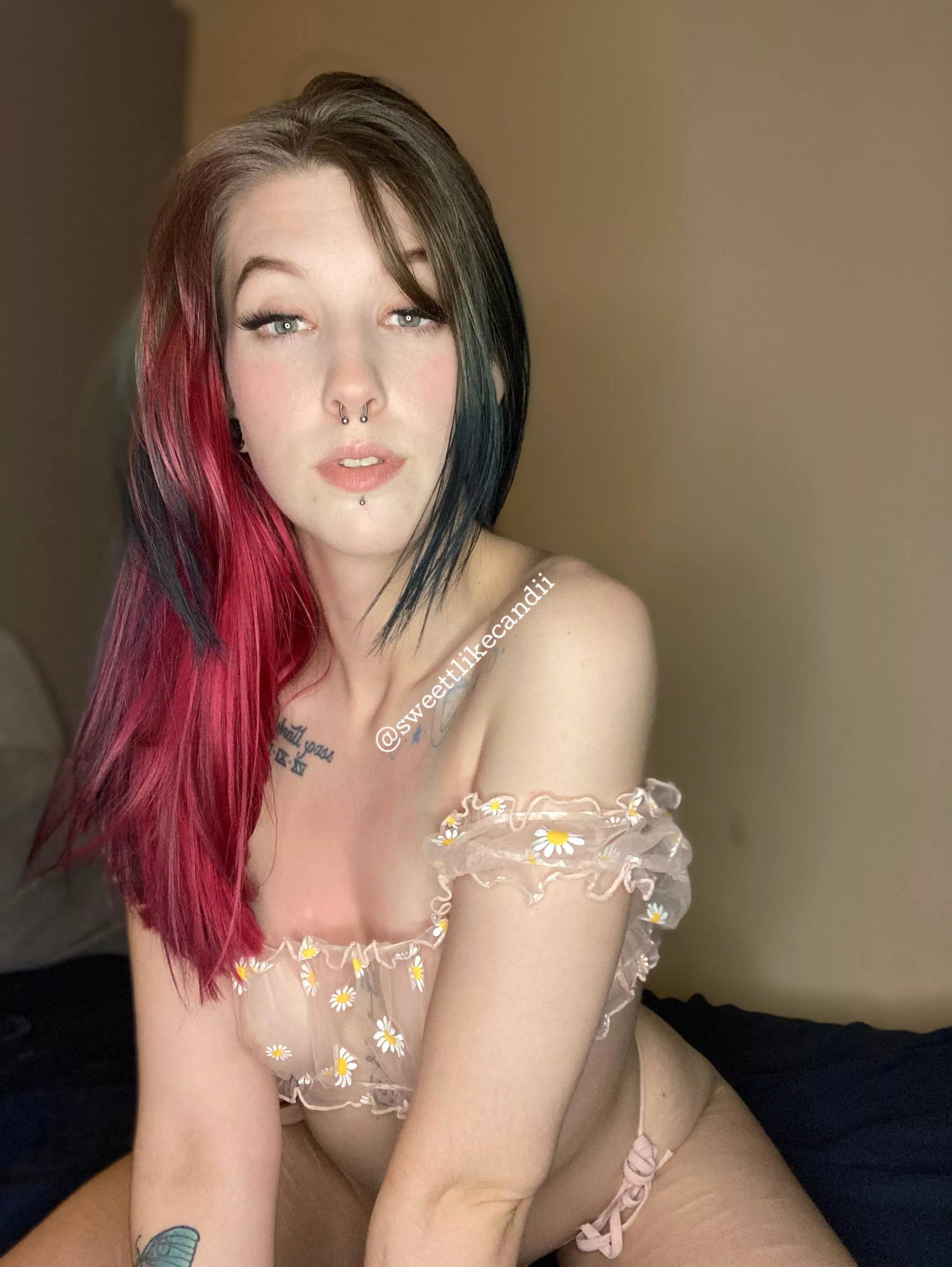 Don’t be shy, cum with me Don’t be shy, cum with me