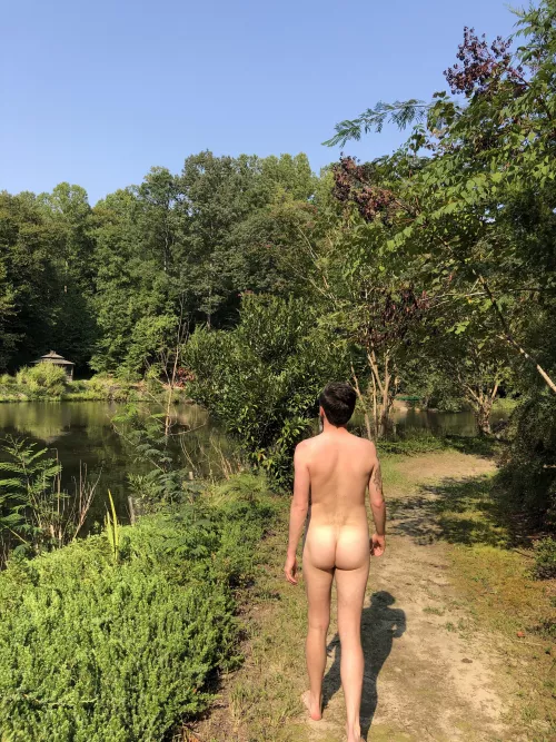 Don’t mind me, just taking a stroll