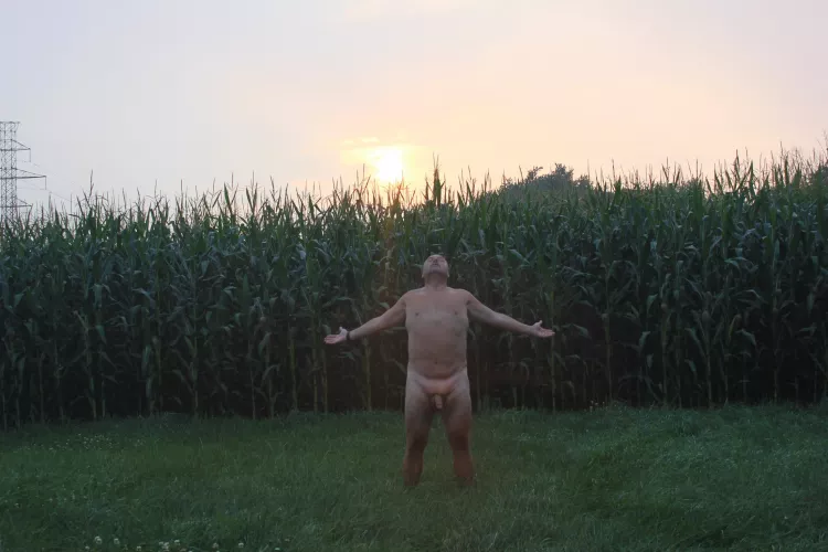 Don’t tell secrets in the garden. The potatoes have eyes, the corn have ears and the beanstalk! None of them will know my pain…
