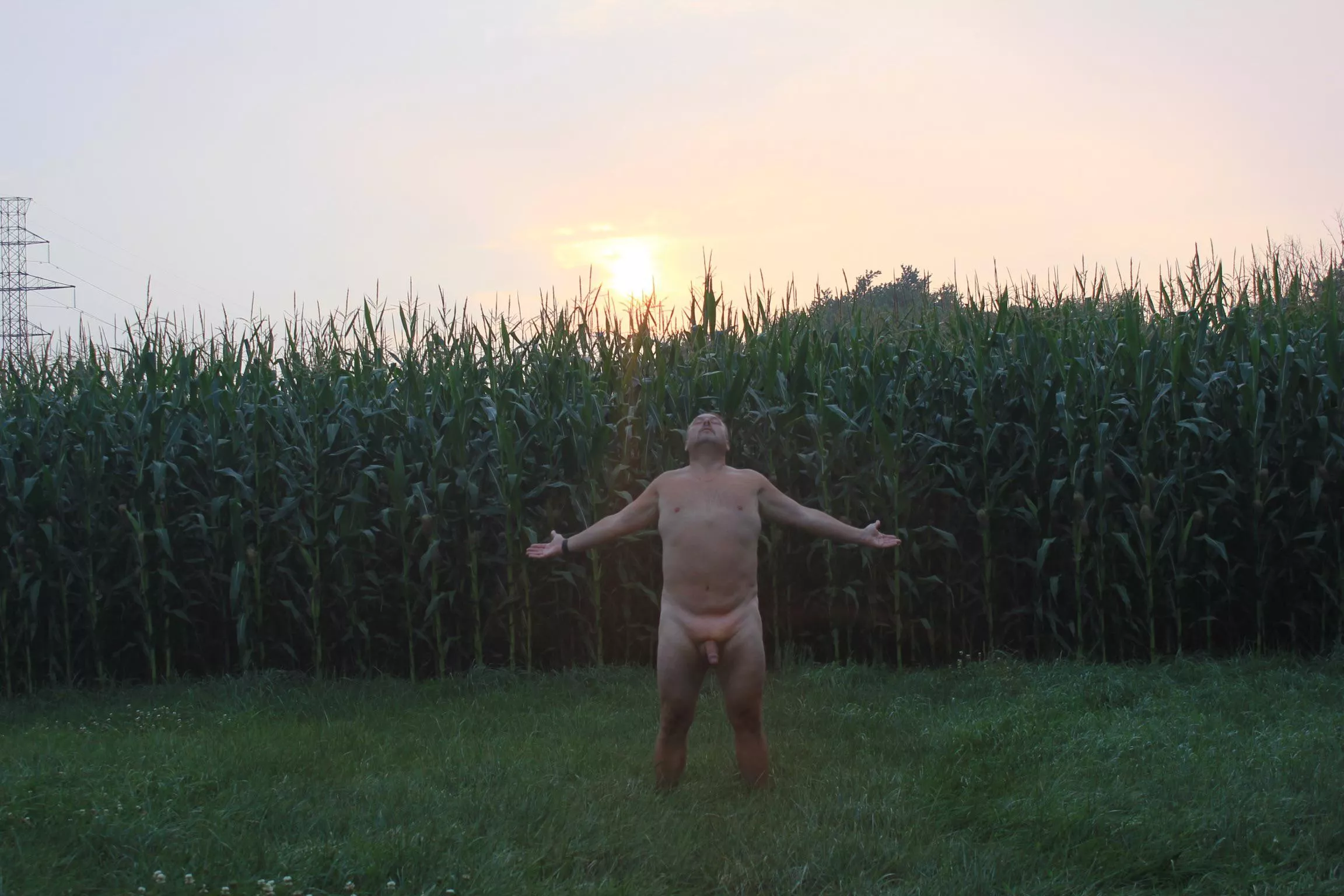 Don’t tell secrets in the garden. The potatoes have eyes, the corn have ears and the beanstalk! None of them will know my pain… Don’t tell secrets in the garden. The potatoes have eyes, the corn have ears and the beanstalk! None of them will know my pain…