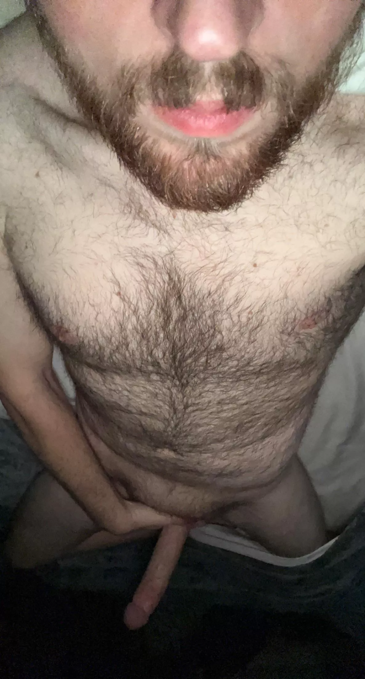 Donβt wanna get out of bed this morning Donβt wanna get out of bed this morning