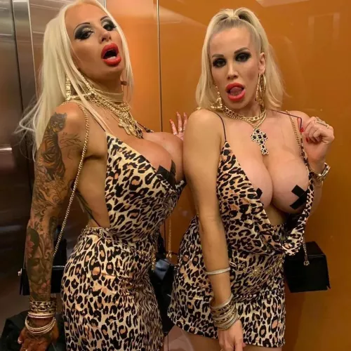 Double the Plastic Action