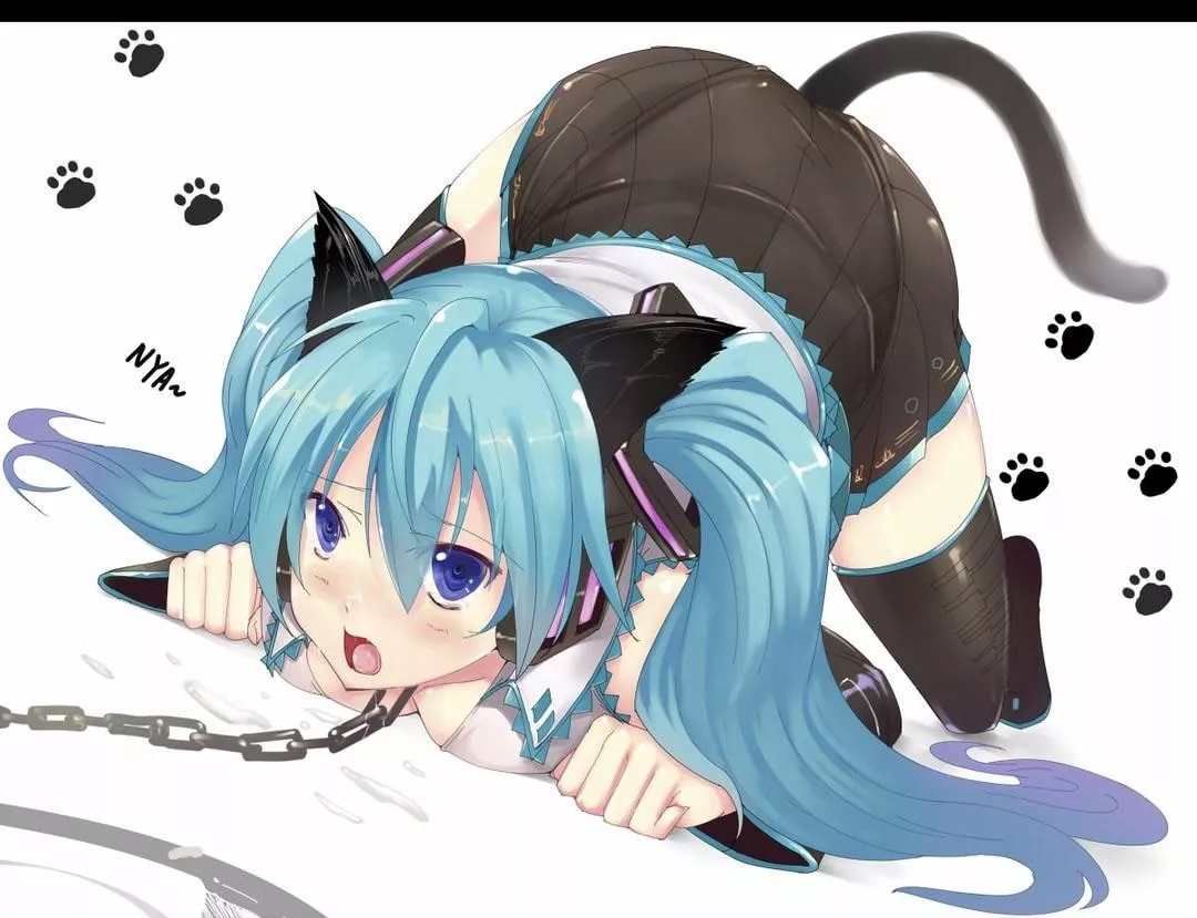Down.. good girl. now wag your tail for your Owner. Down.. good girl. now wag your tail for your Owner.