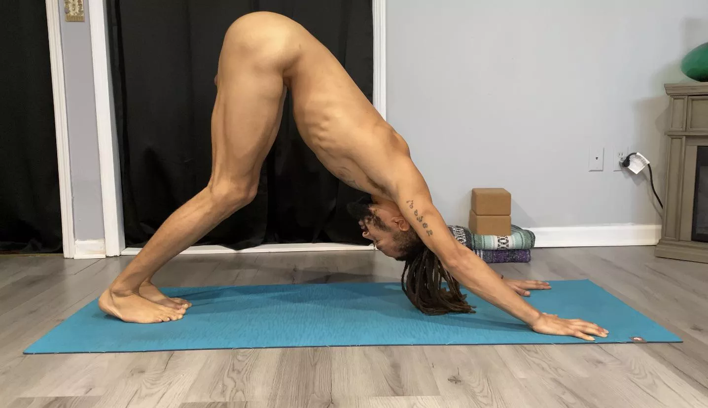 Downward Facing Dog is a full body pose.