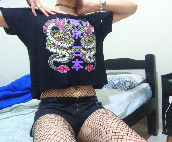 Dragons are cute 😺