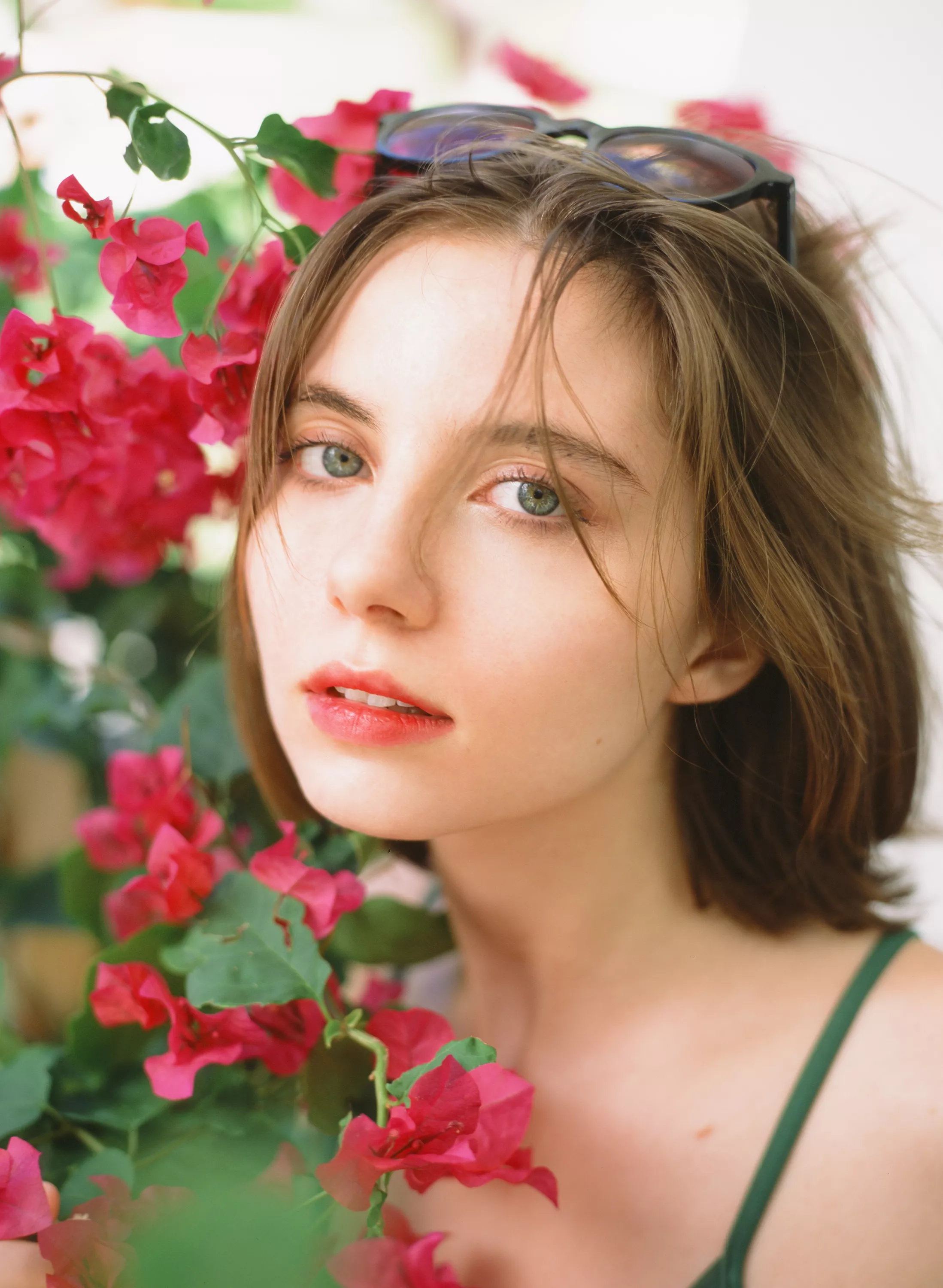 Dreams of summer flowers Dreams of summer flowers