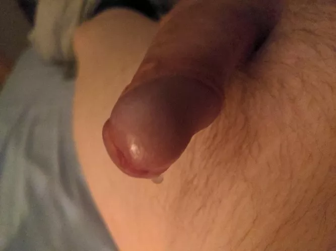 Drip check