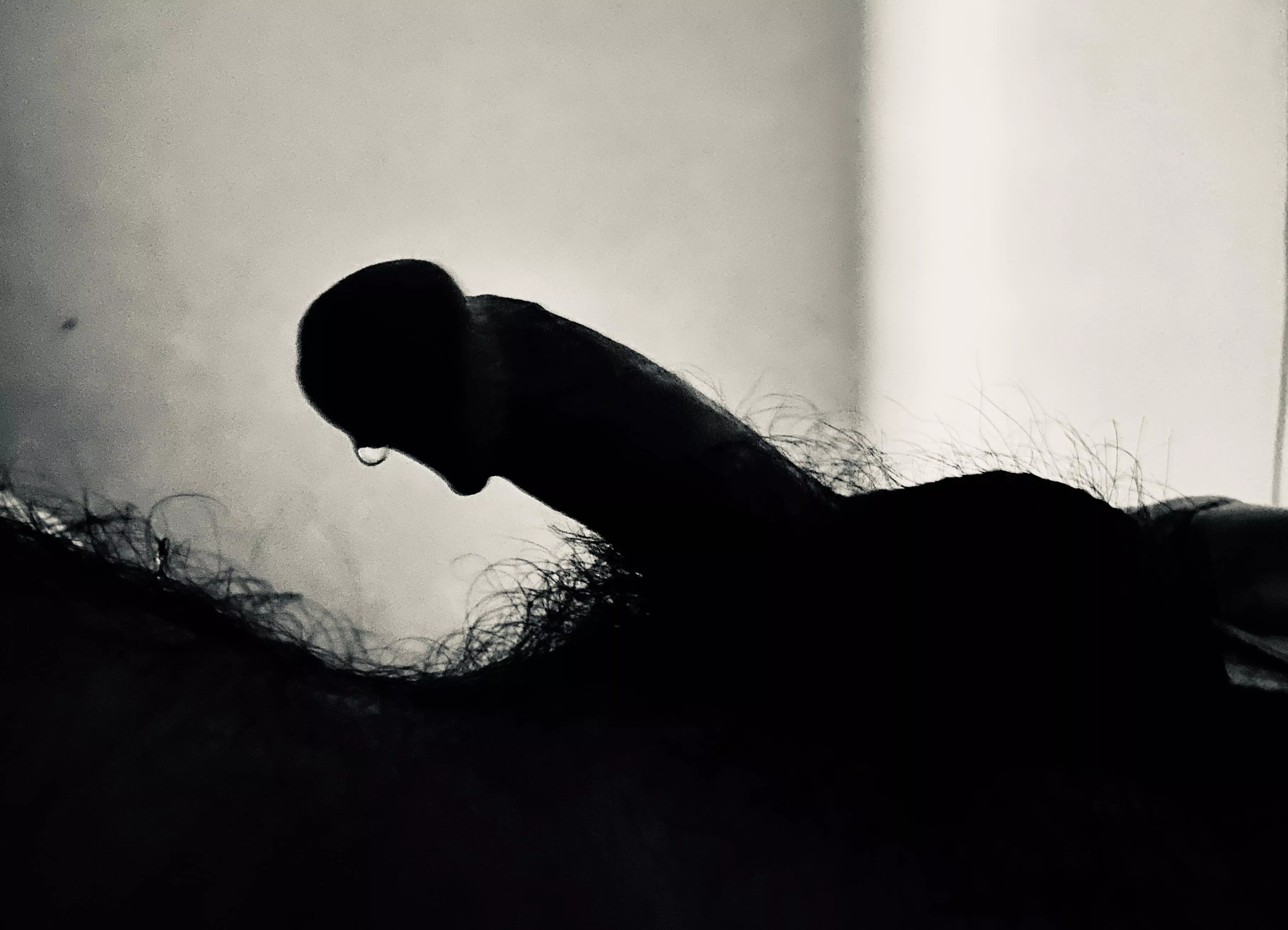 Dripping m(30) Dripping m(30)