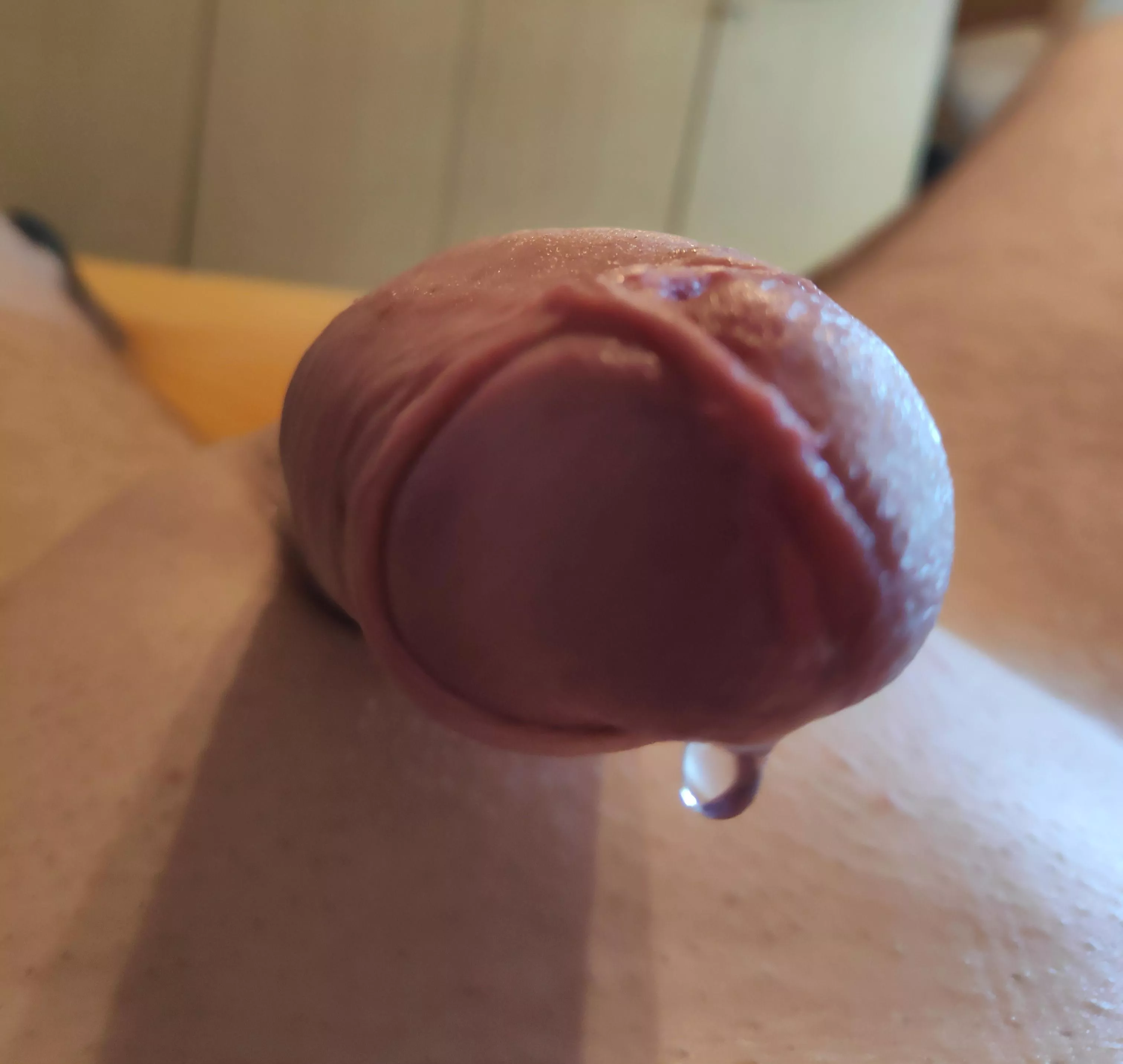 Dripping precum Dripping precum