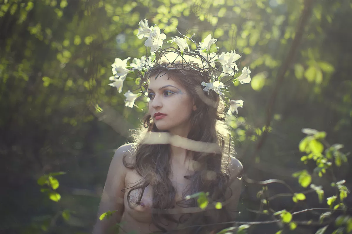 Dryad Dryad