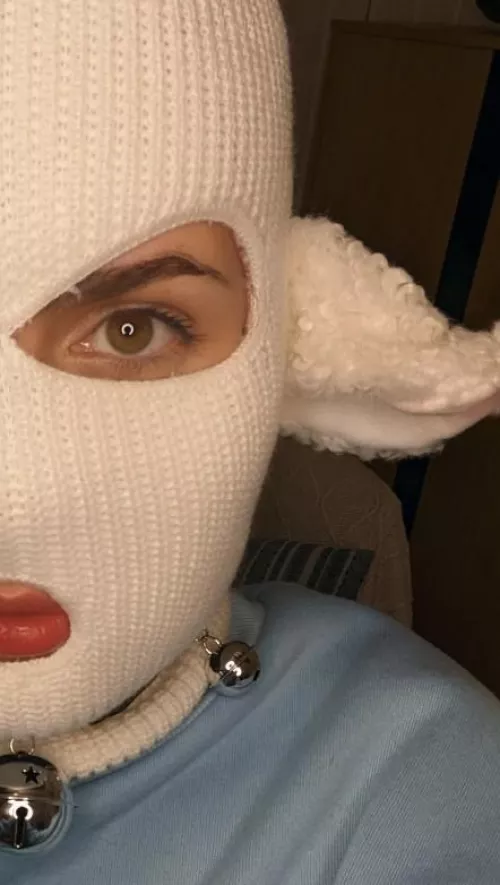 dumb little sheep 🔔🐑