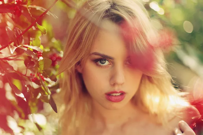 Effy Harvard Effy Harvard