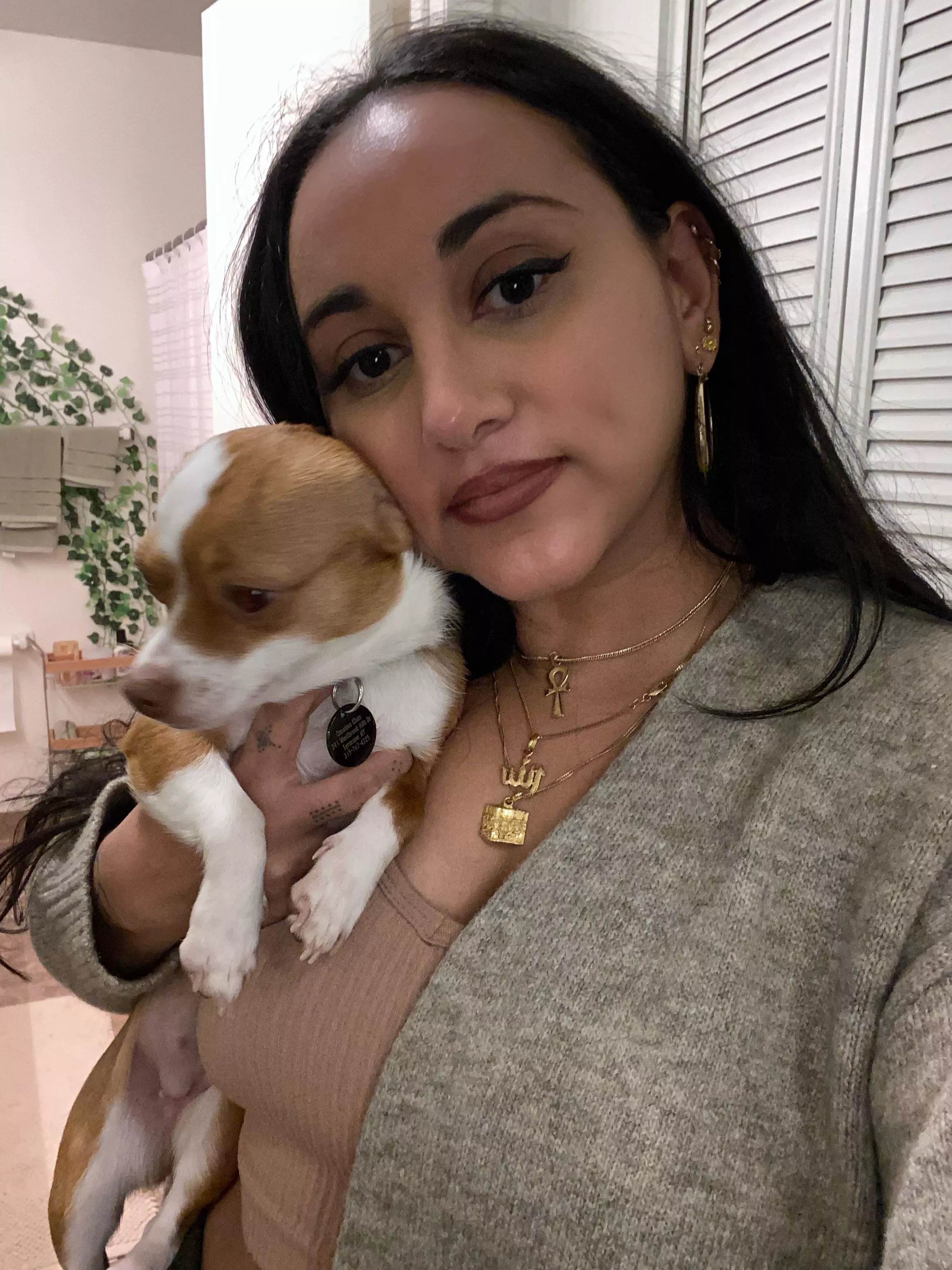 Egyptian x Pakistani x Kenyan