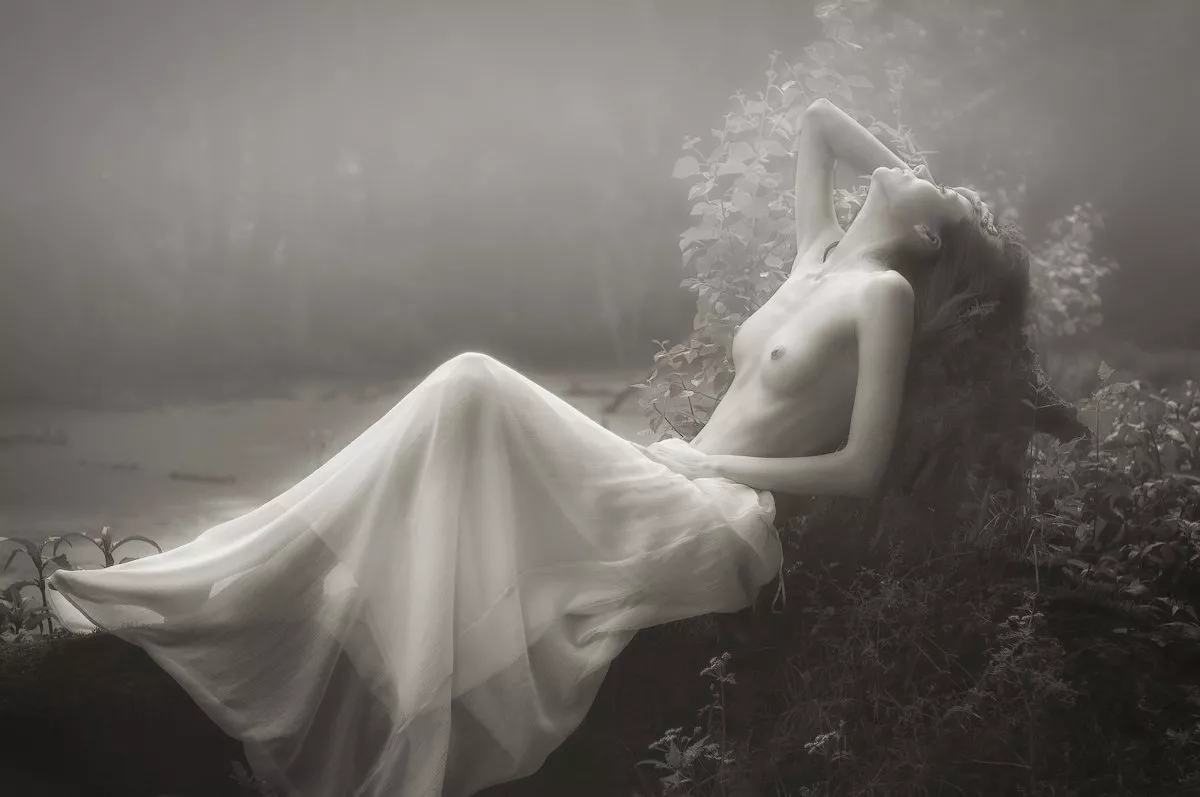 Elegant Elegant