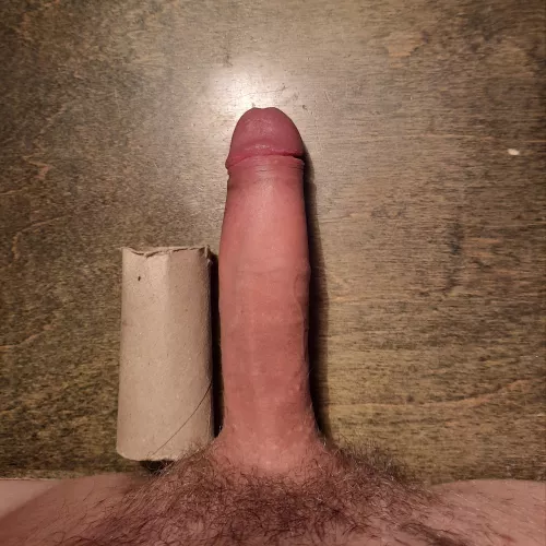 Empty TP roll for scale