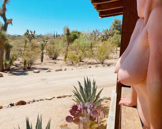 Enjoy the High Desert scenery [f]