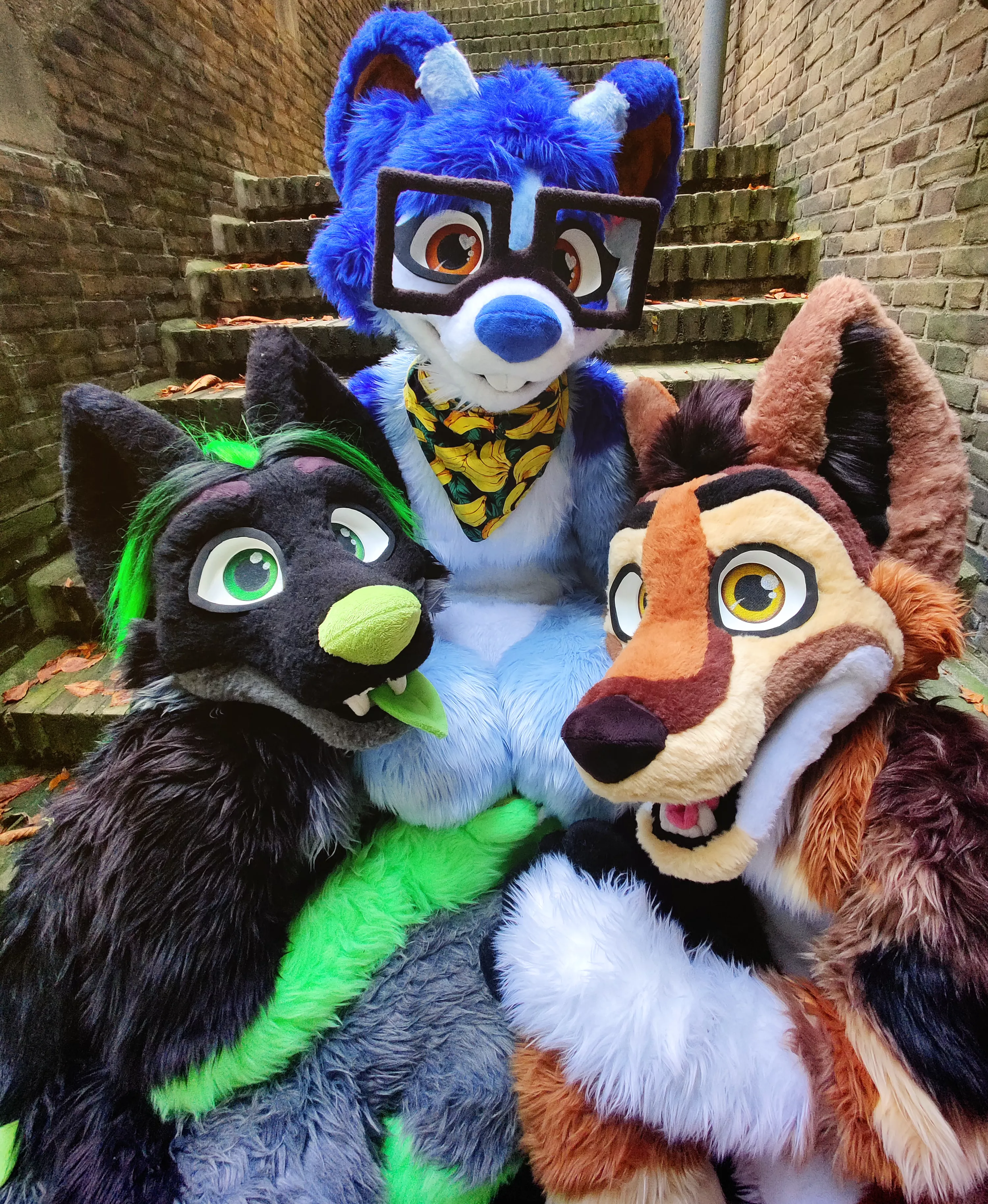 Enjoying my day with furriends! (By @miesdocreations)