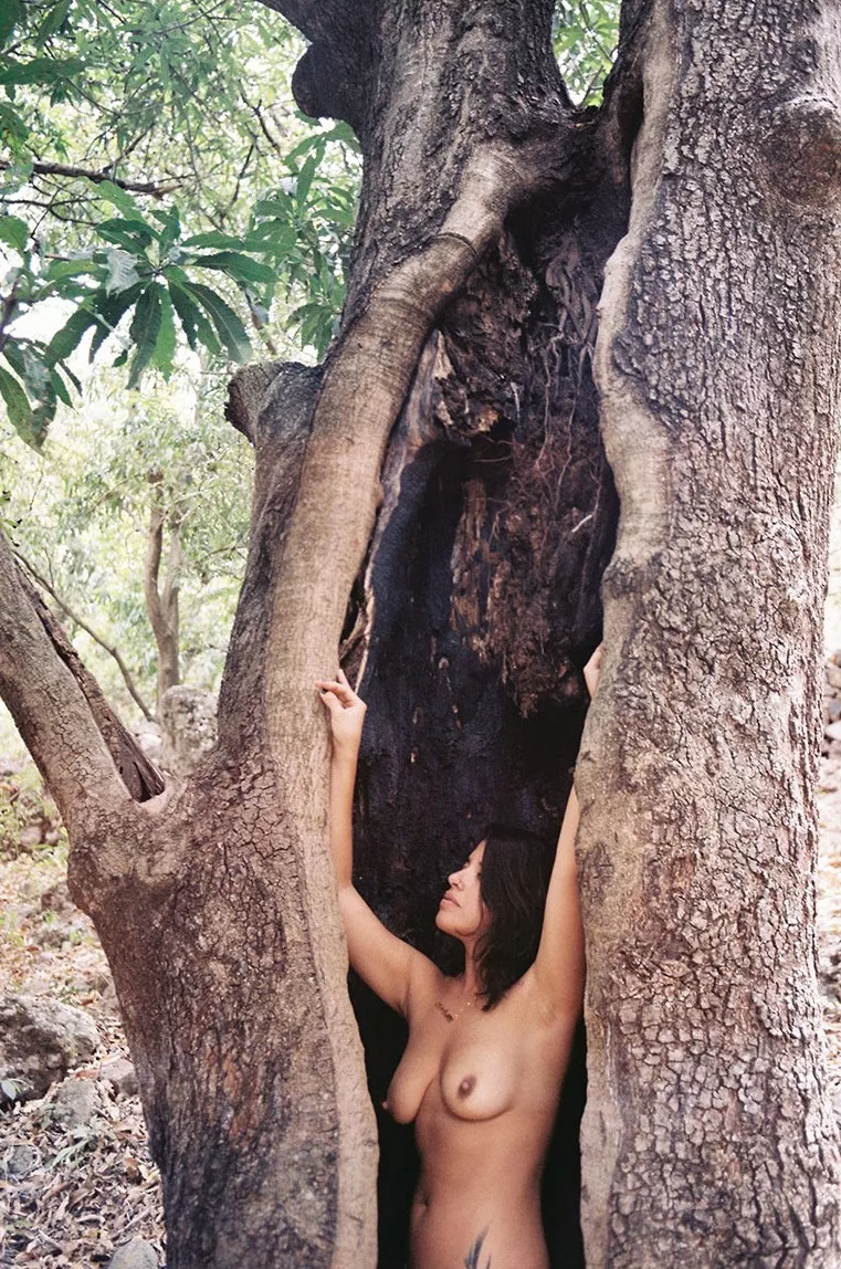 Enveloping Nudes Woodnymphs Nude Pics Org