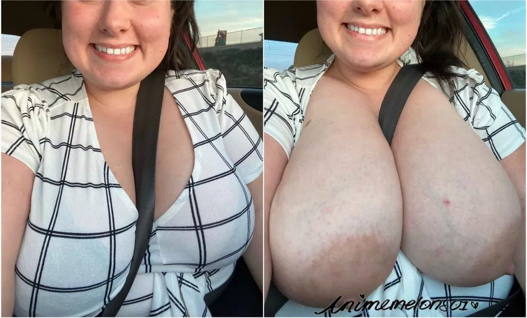 Equipped with my own set of airbags! [OC]