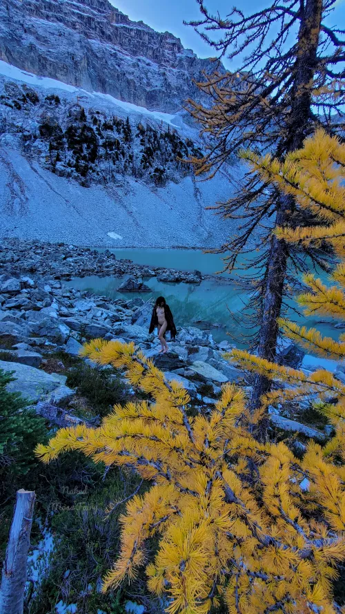 Even though it was freezing, I had to get naked with the Golden Larches!๐๐