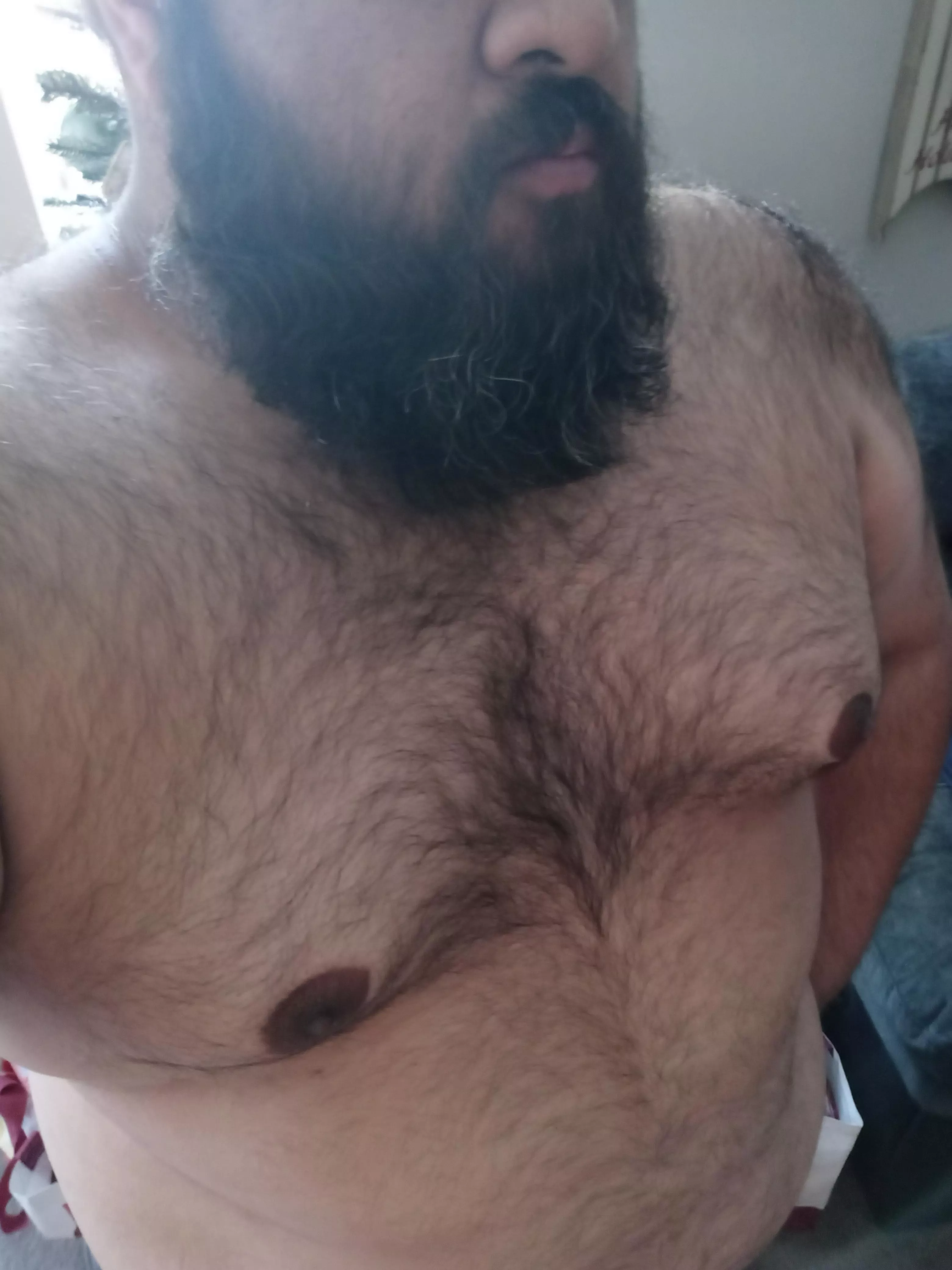 Ever seen a Hispanic bear, son???? Ever seen a Hispanic bear, son????