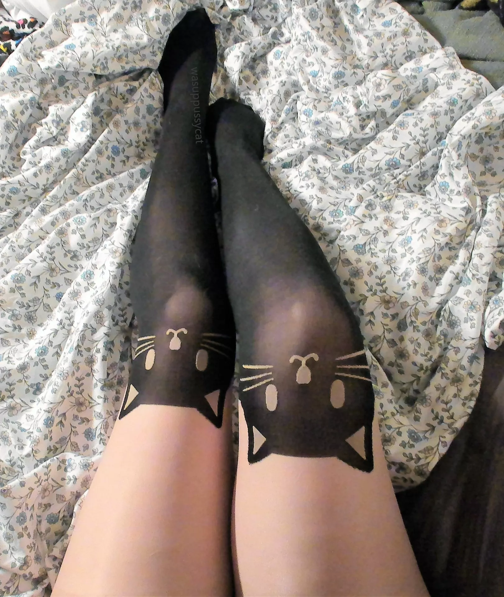 Everybody wants to be a cat, because a cat's the only cat who knows where it's at!♫ Everybody wants to be a cat, because a cat's the only cat who knows where it's at!♫