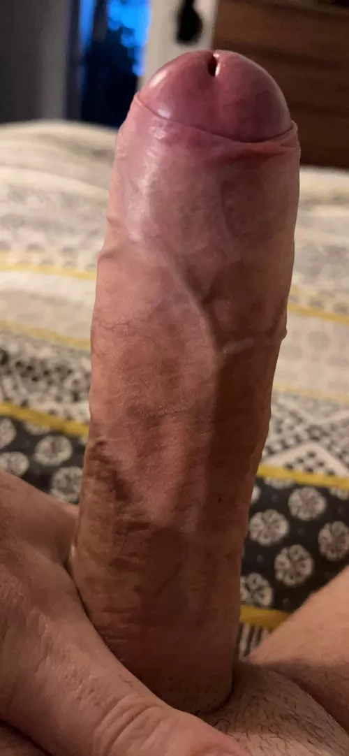 Everyone is welcome to enjoy this. Let me know.