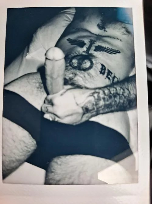 everything looks good with a polaroid 🦝