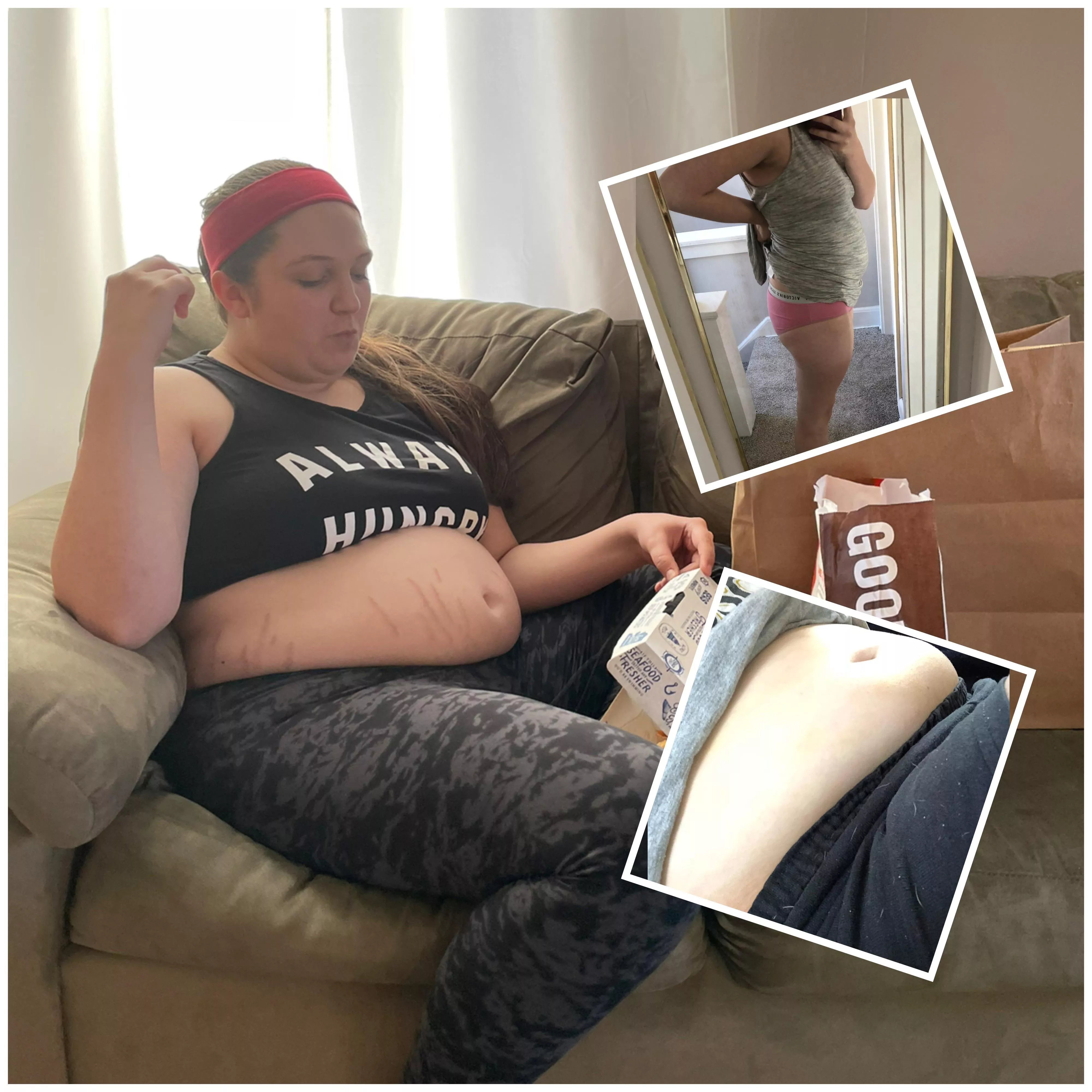 Evolution of a pig 🐷