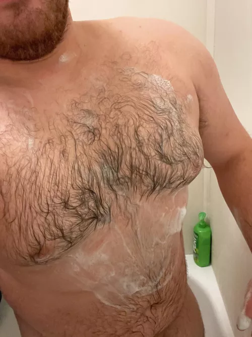 Experienced 26 y/o bull in the SF Bay Area Experienced 26 y/o bull in the SF Bay Area