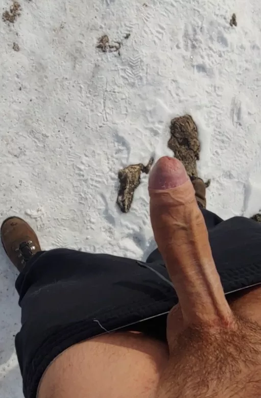 Exposing my uncut Canadian cock on a public trail 🇨🇦🐓 Exposing my uncut Canadian cock on a public trail 🇨🇦🐓
