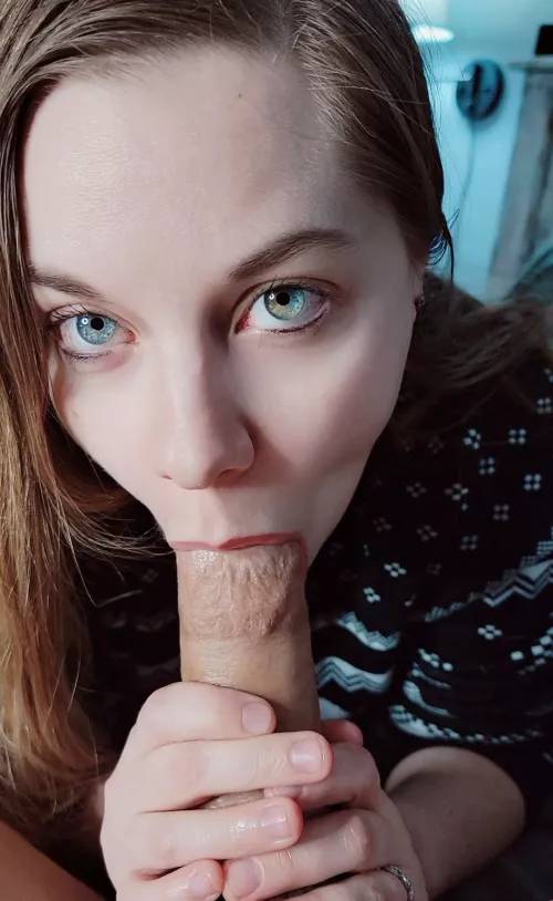 Eye contact while sucking the tip Eye contact while sucking the tip