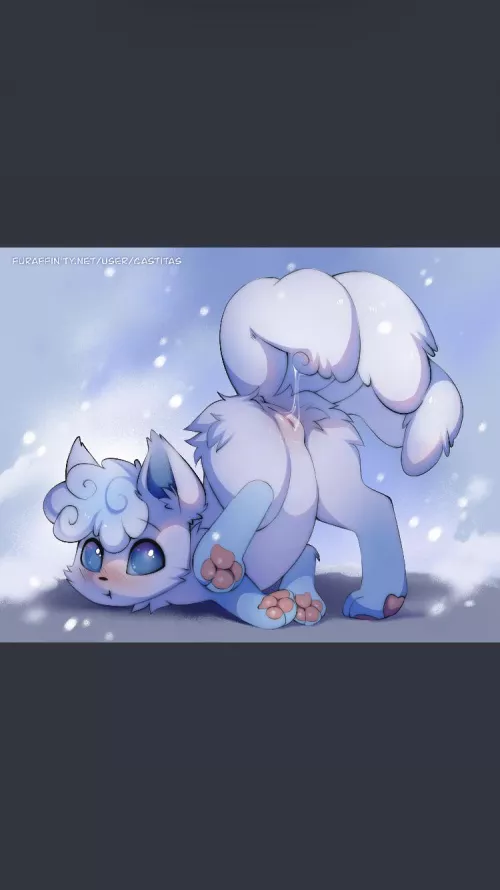[F] (Castitas) aloan vulpix looks so adorable ?