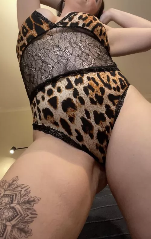 [F] Looking for my box on Boxing Day?