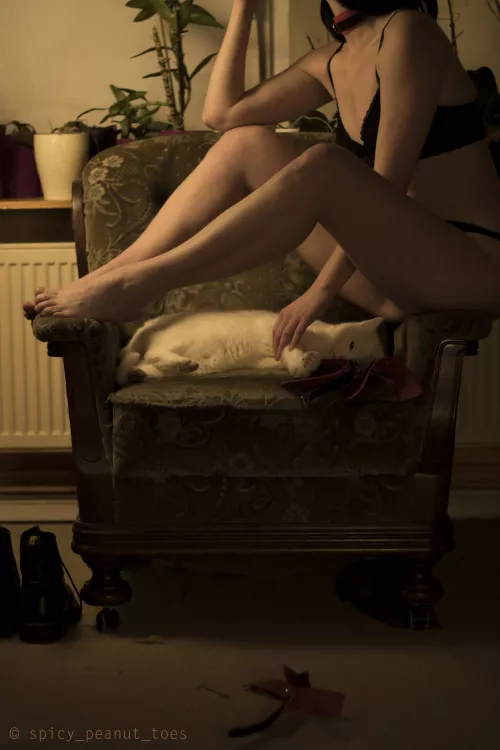 [F] My cat got the best view ;P