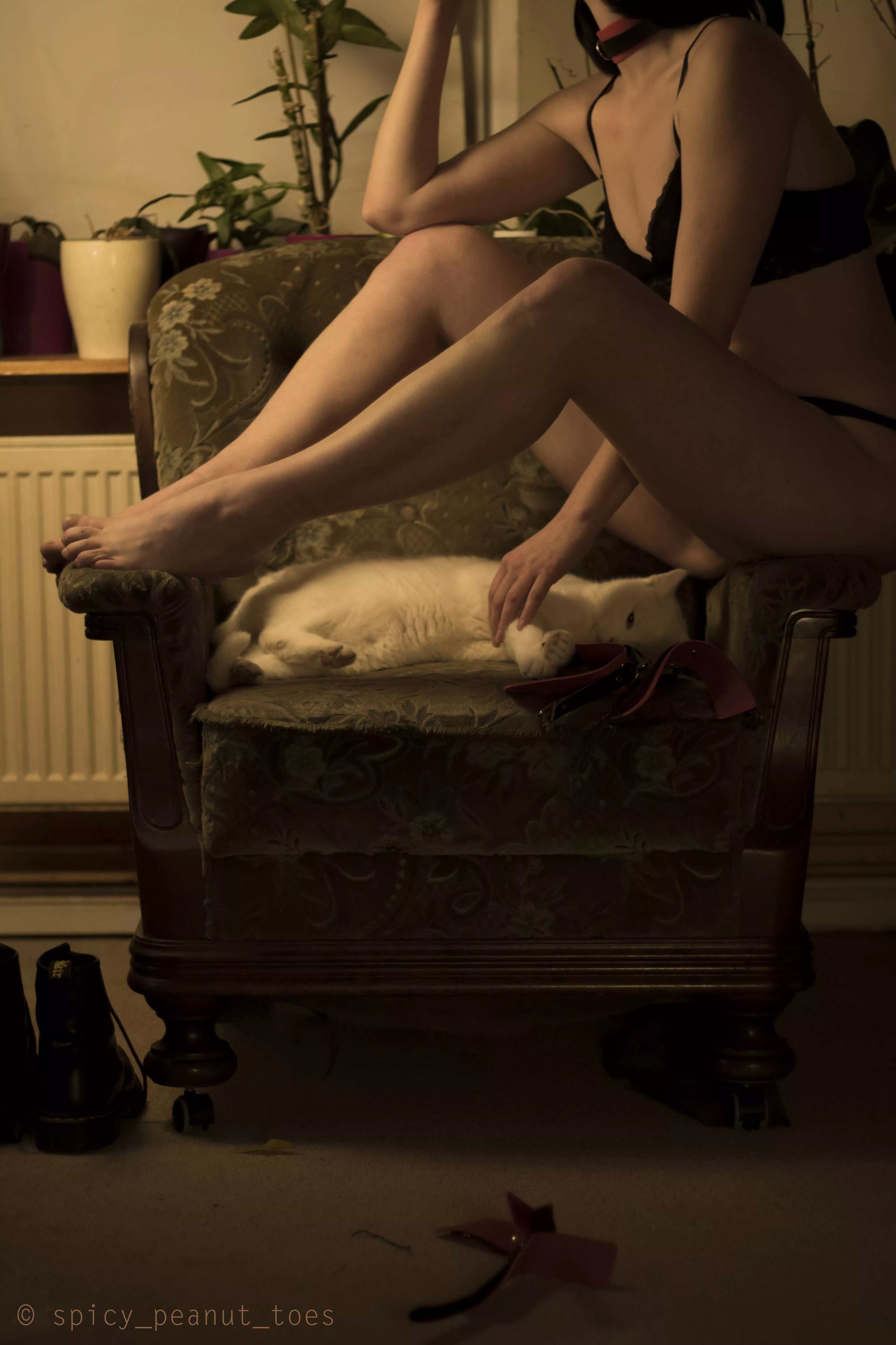 [F] My cat got the best view ;P