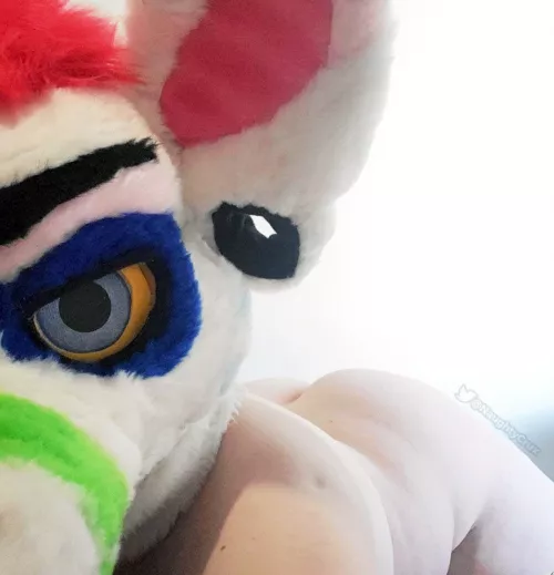 [F] Need some ASSistance? (Twitter: @NaughtyCrux)