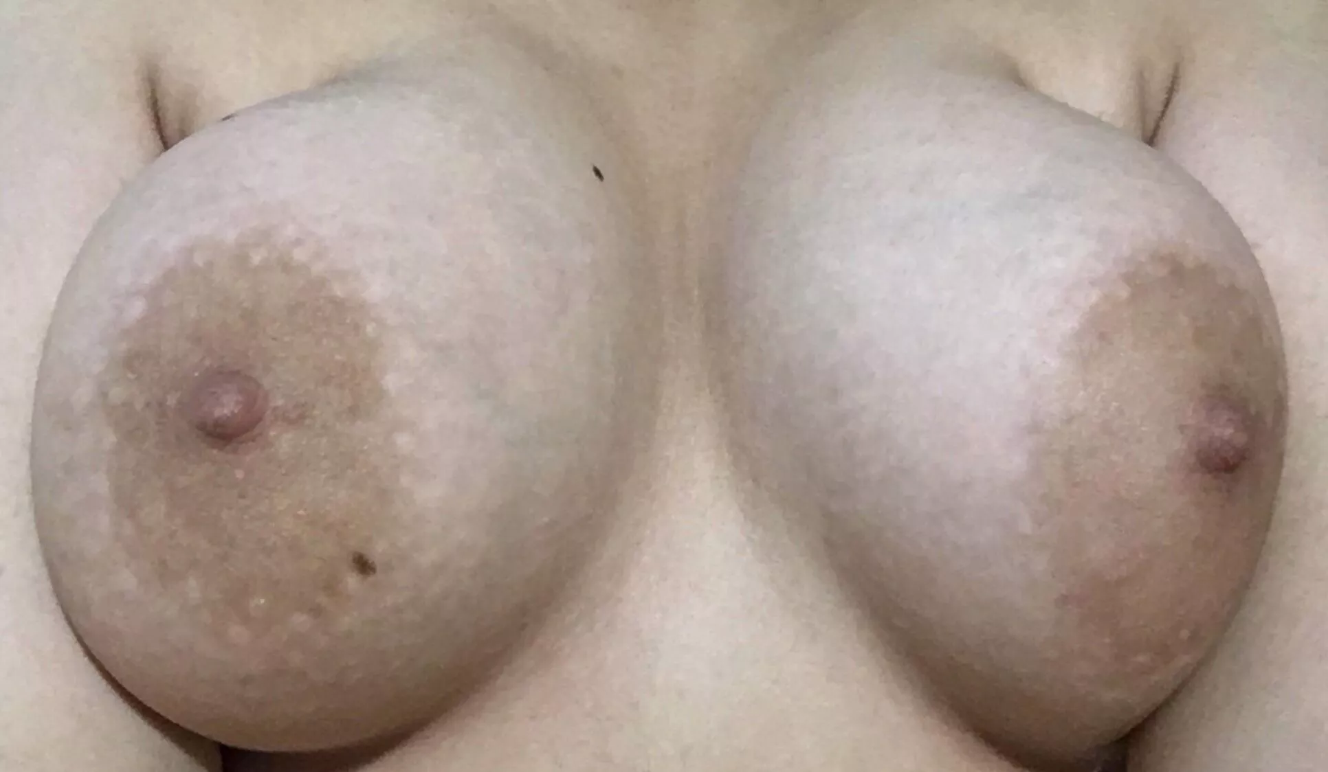 (f) they’re 4,6k people active rn & i hope at least 4 Iike my titties 💘