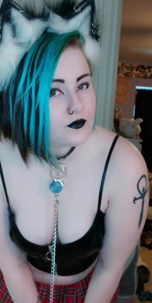 (F19) gothic catgirl at your service πΎπ€ (F19) gothic catgirl at your service πΎπ€