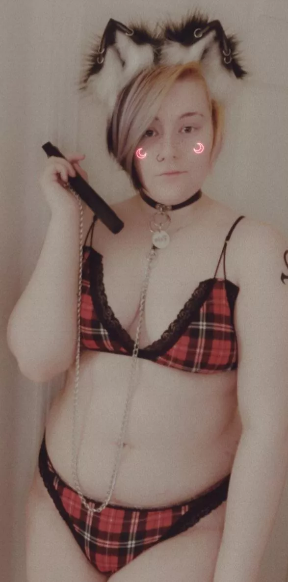 (F19) leashed kitten! ??