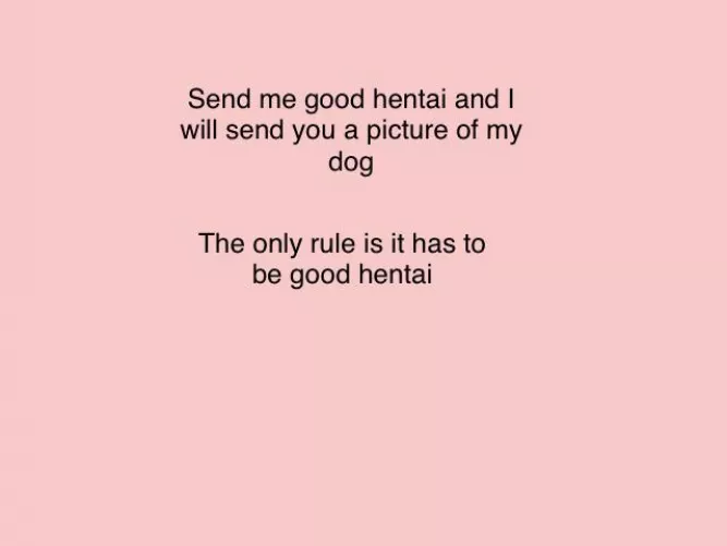 Fair deal is it not? I can promise it’s a cute doggo