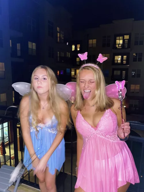 Fairies 🧚♀️ Fairies 🧚♀️