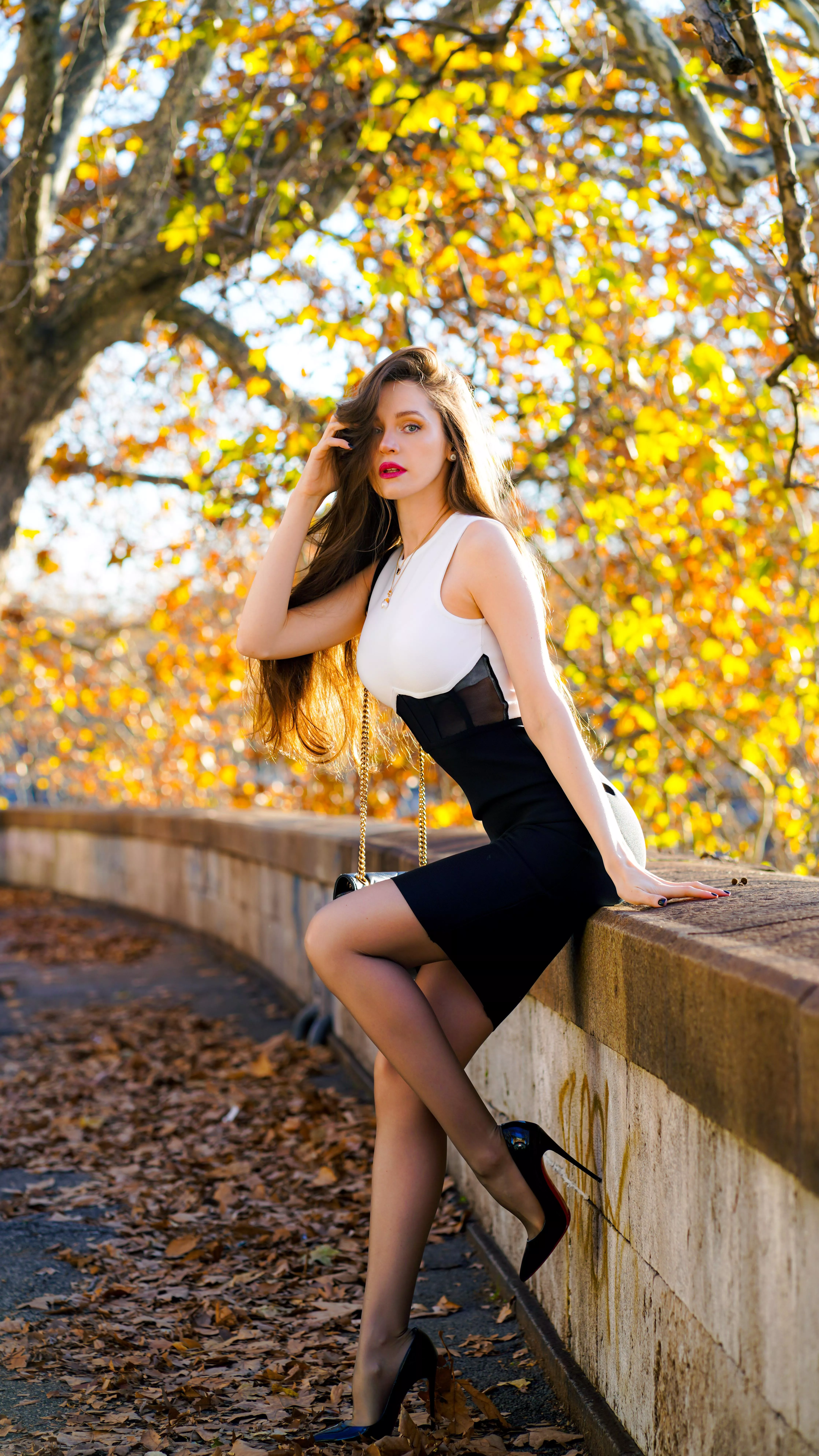 Fall in December Fall in December