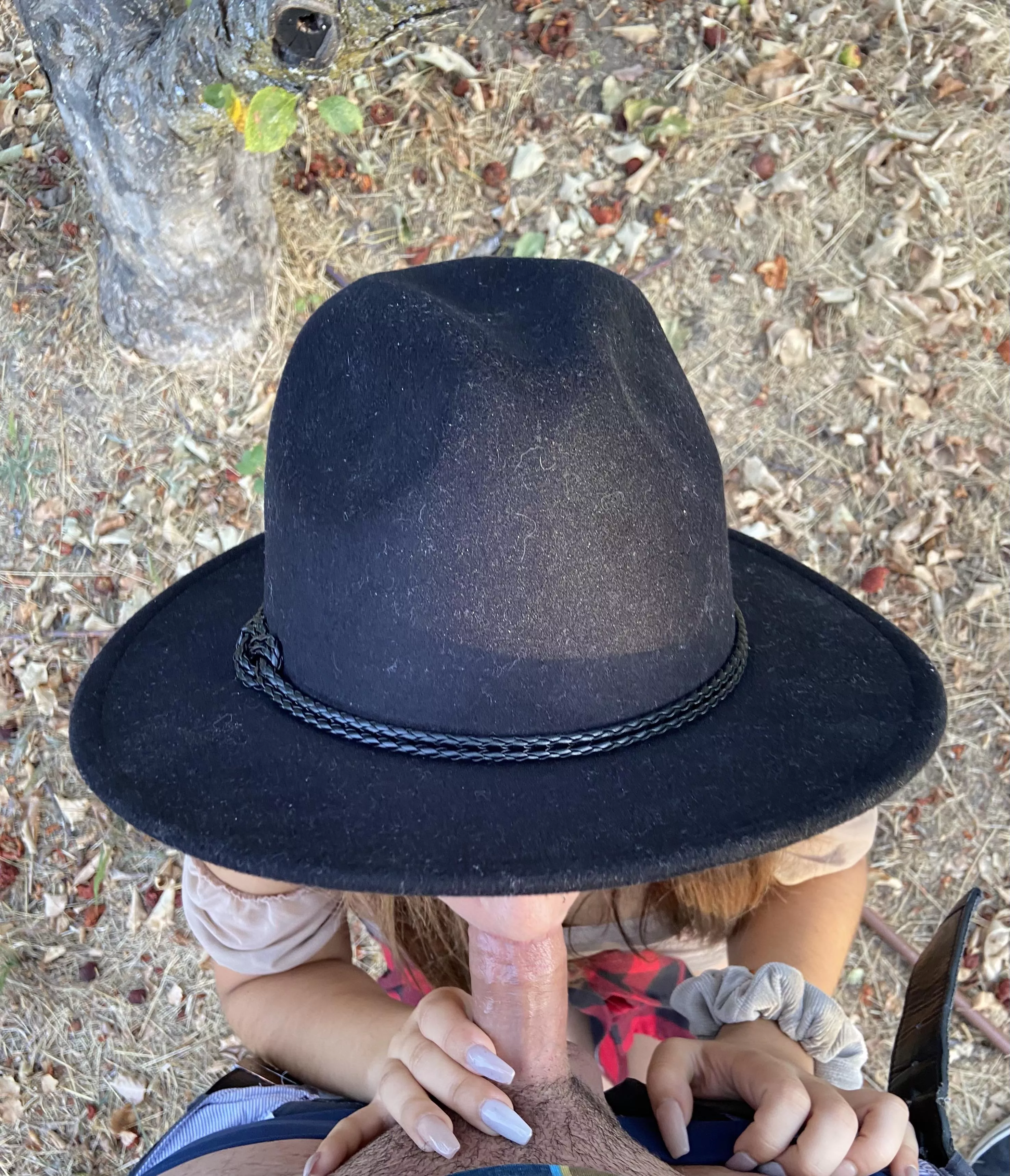 Fall means getting your cock sucked in an apple orchard 🍂