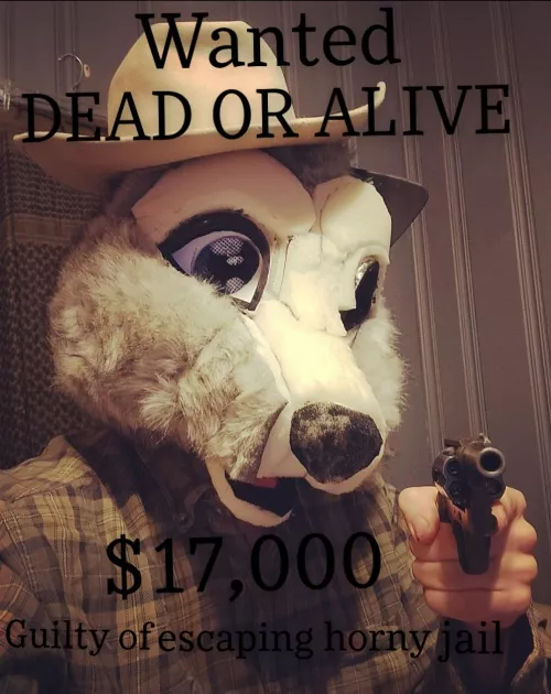 Fastest Racoon in the west 🤠🦝 I really need to finish puttin fur on this dang old head