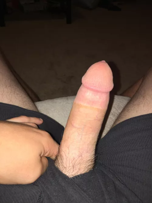 fat white cock