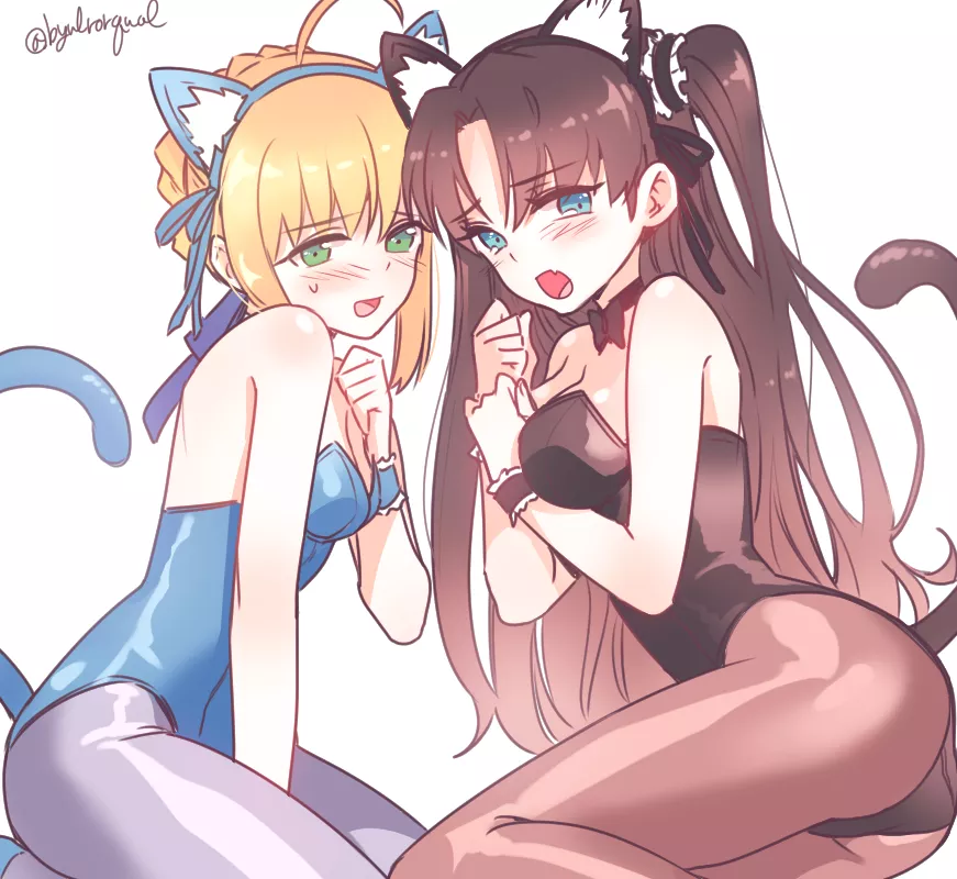 Fate/Stay Nyait (Fate Series) Fate/Stay Nyait (Fate Series)
