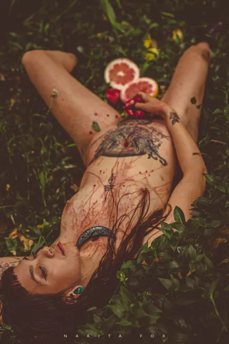 Fauna and flora