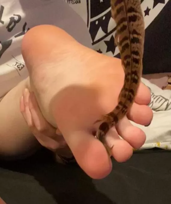 Feather tickles from a livestream we did Feather tickles from a livestream we did